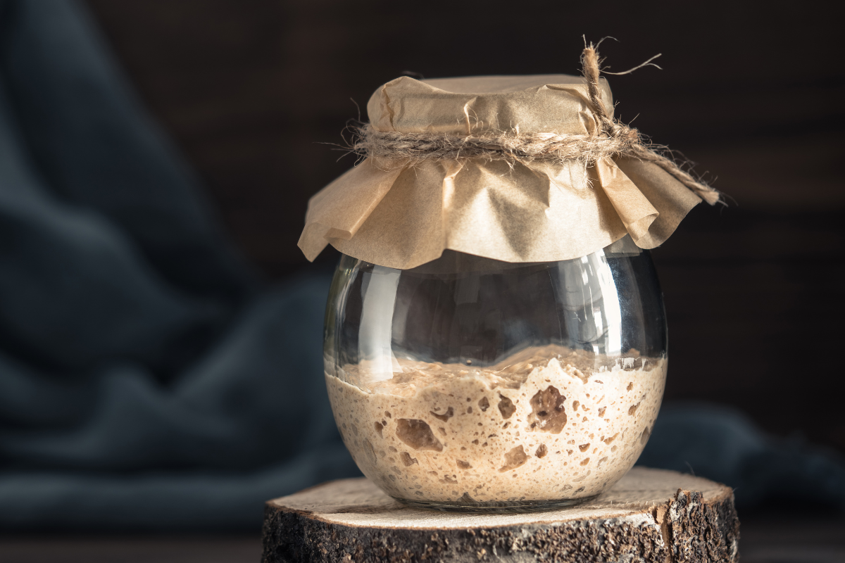 Sourdough Discard Recipes: 10 Tasty Ways to Use Starter only 100g