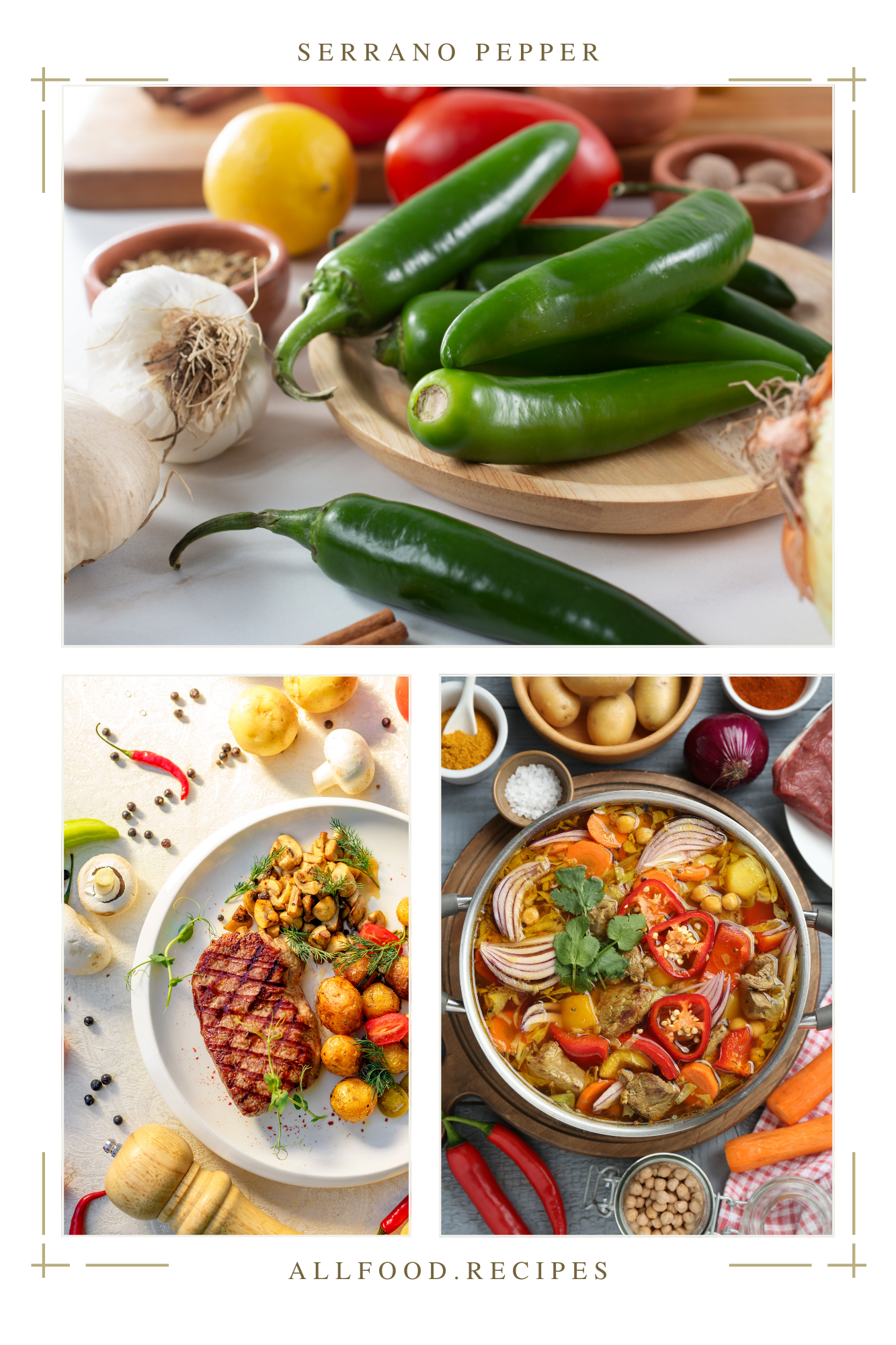 Graphic design featuring a serrano pepper along with prepared dishes, highlighting the chili as the main ingredient.