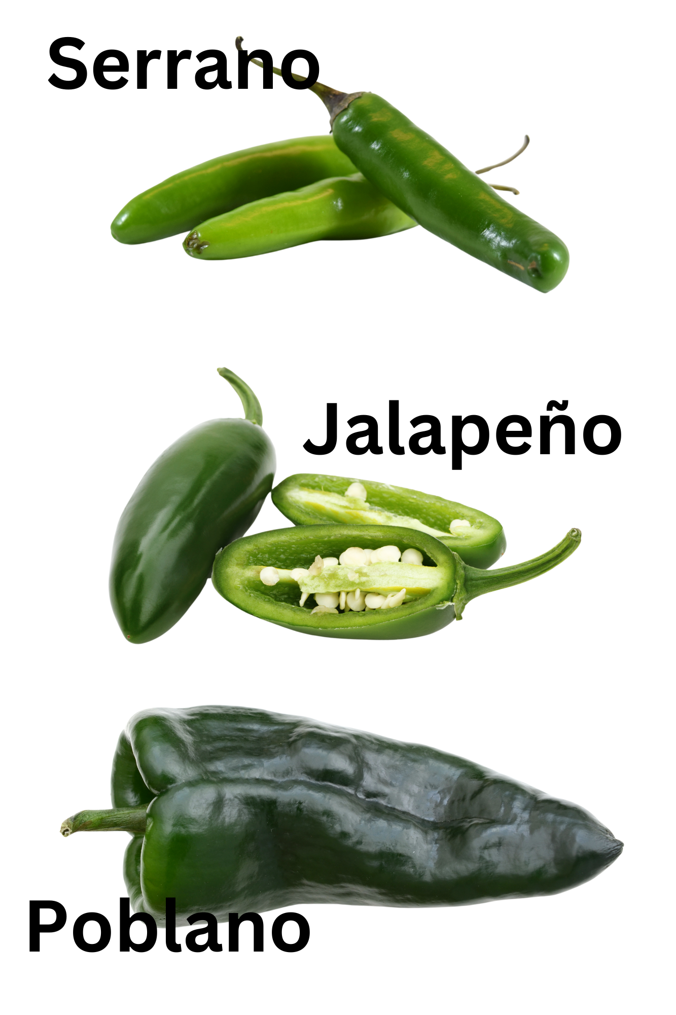 Visual comparison of serrano, jalapeno, and poblano peppers, showcasing their size, shape, and color.