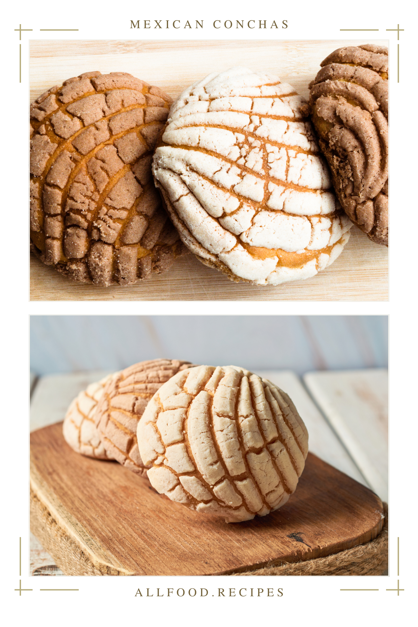 2 Authentic Mexican Concha & Conchas Recipe: Uncover the Irresistible Concha Taste in This Mexican Pan Dulce