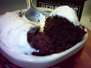 Chocolate & Marshmallow Mug Cake