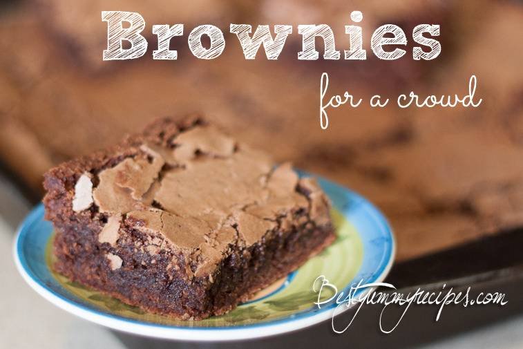 Brownies for a Crowd