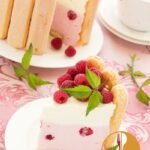 Raspberries Cream Charlotte Cake