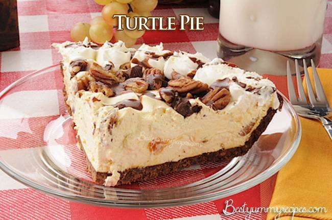 Turtle Pie Recipe