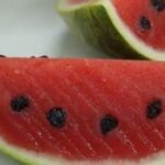 Fresh Watermelon Gelatin