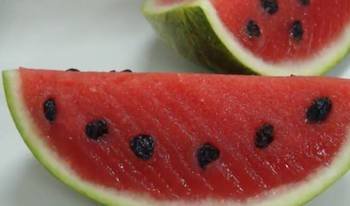 Fresh Watermelon Gelatin