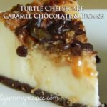 Turtle Cheesecake - Caramel Chocolate and Pecans